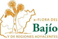 Logo Bajio